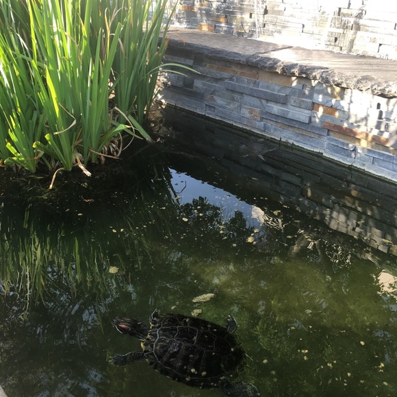 Meet your Posher, Johana - Picture 1 of 1